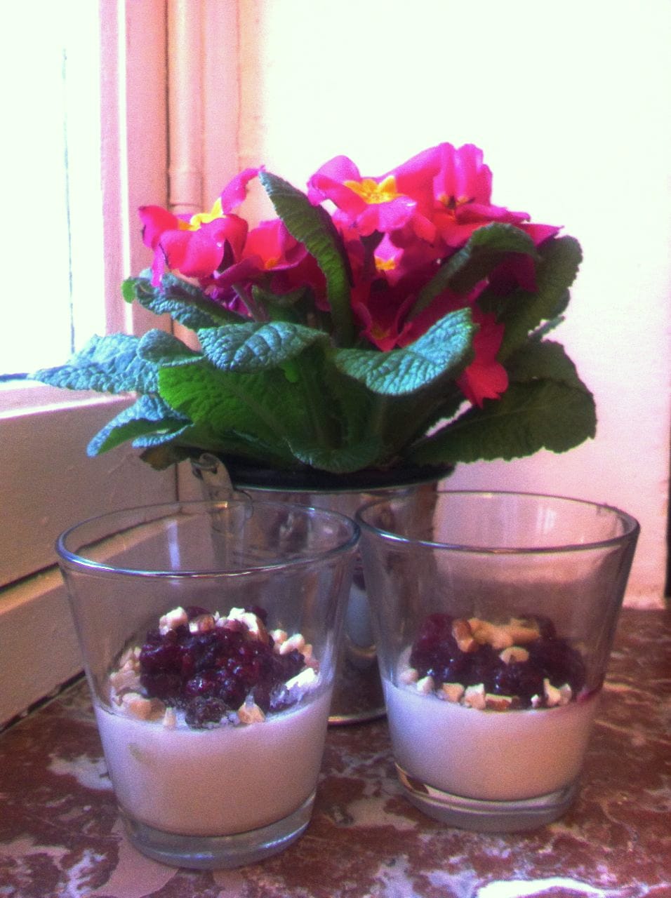 Paleo crema di cocco e frutti rossi