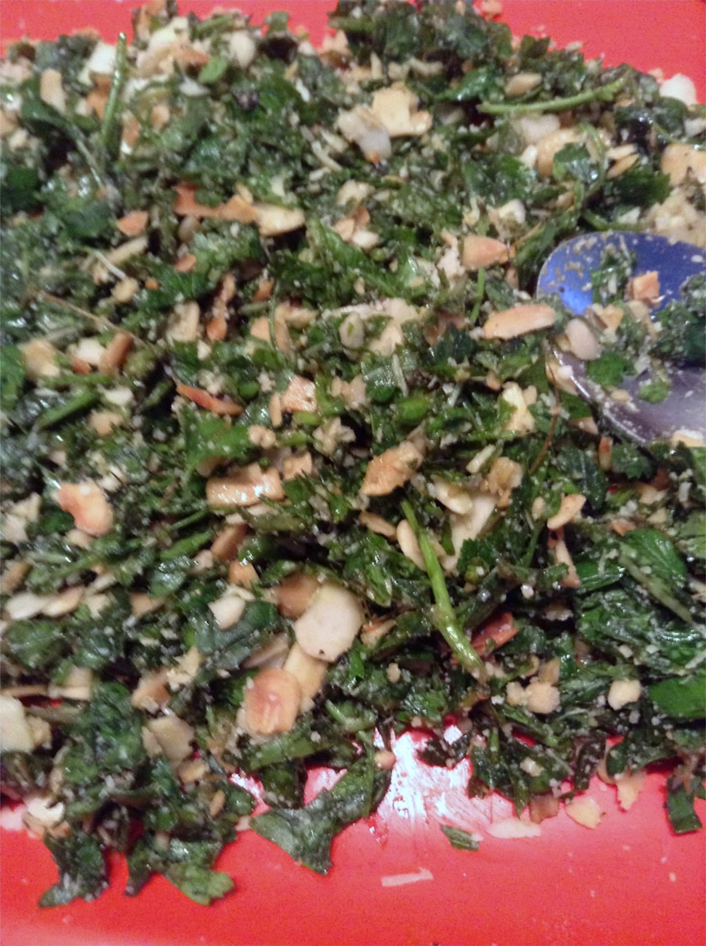 IMG_1279